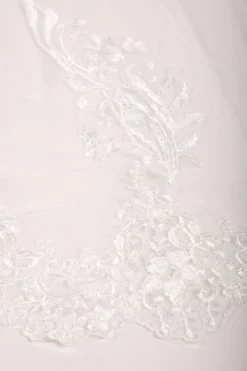 ASTER Long Wedding Veil with Lace Appliques