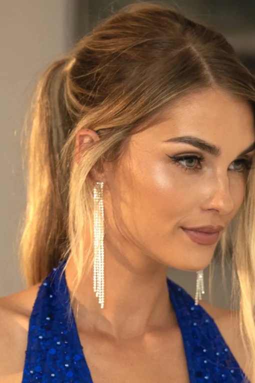 Diamante Tassel Earrings in Silver