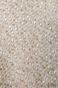 Roxie Embellished Mini Skirt - Silver